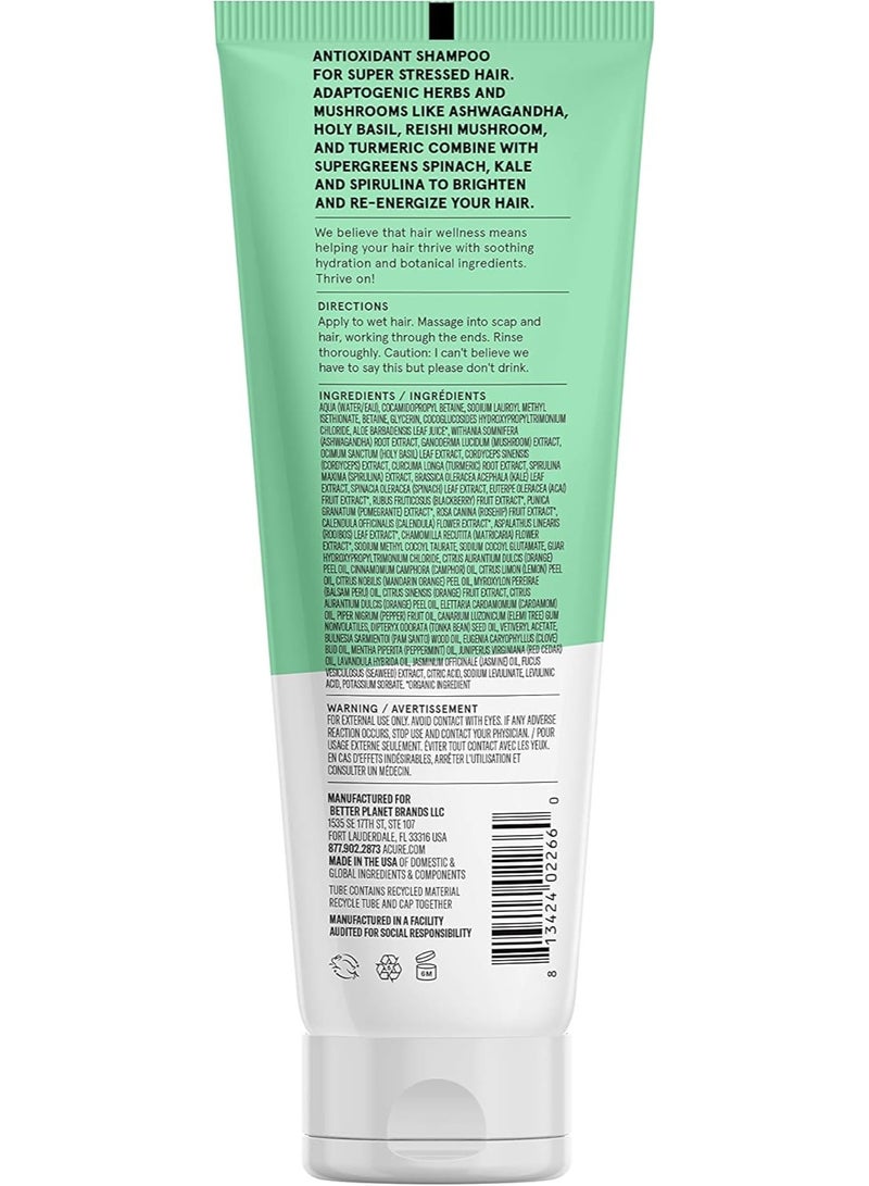 Acure Juice Cleanse Supergreens & Adaptogens Shampoo, 8 fl oz - Image 2